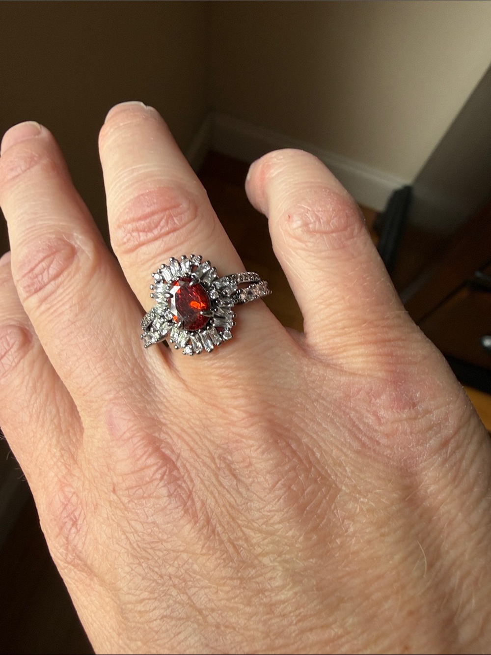 Bomb Party January 2026 Ring 
Garnet Red Cubic Zirconia Ring Size 9